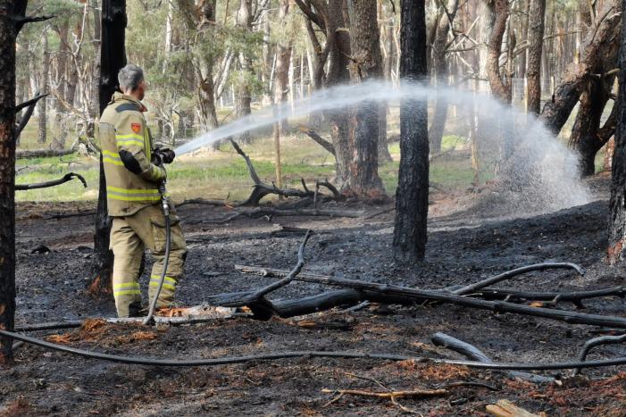 Groot stuk natuurgebied verwoest door brand