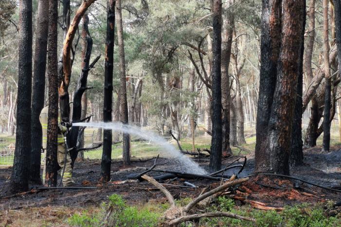 Groot stuk natuurgebied verwoest door brand