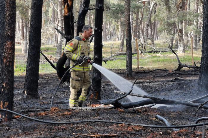 Groot stuk natuurgebied verwoest door brand