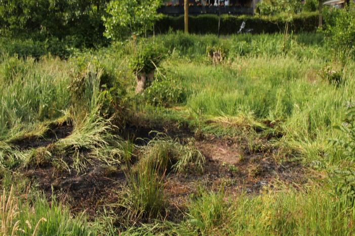 Omstanders doven vuur in park in Nieuwland