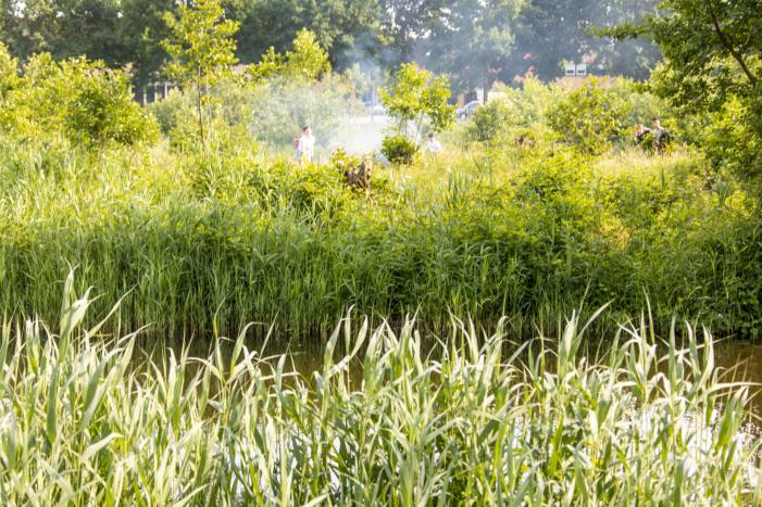 Omstanders doven vuur in park in Nieuwland