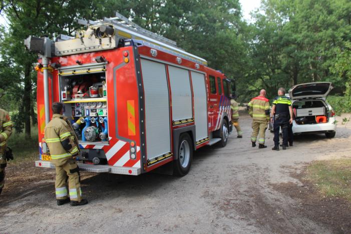 Brandende boomstronken snel geblust