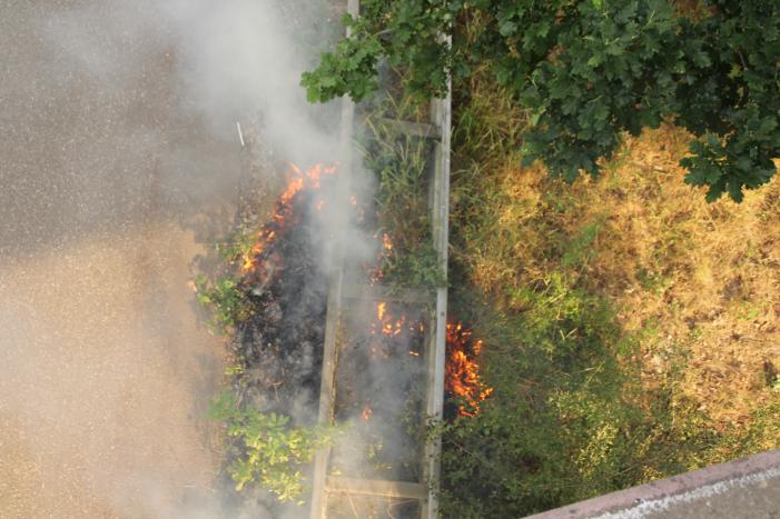 Veel rook bij brand in berm naast snelweg