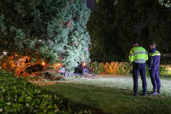 Automobilist vliegt uit de bocht en belandt in bosjes
