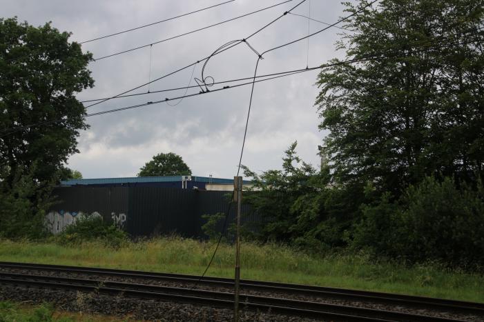 Geen treinverkeer door ooiervaarsnest in bovenleiding