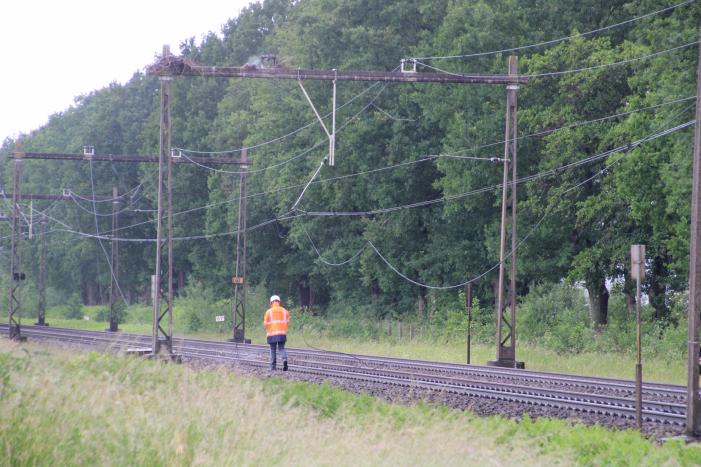 Geen treinverkeer door ooiervaarsnest in bovenleiding