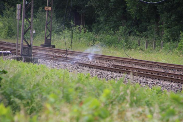 Geen treinverkeer door ooiervaarsnest in bovenleiding