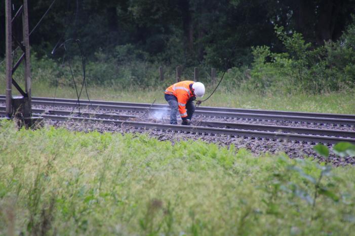 Geen treinverkeer door ooiervaarsnest in bovenleiding
