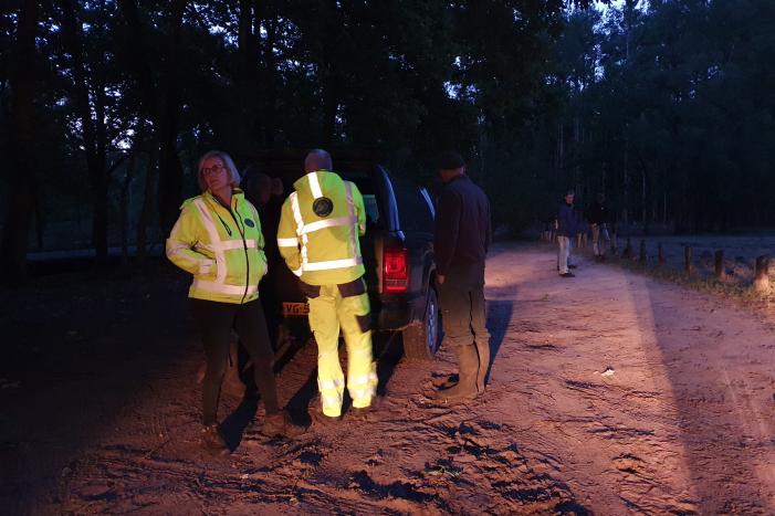 Wilde zwijntjes houden boswachter en dierenambulance bezig