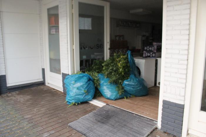 Hennepkwekerij gevonden in winkelpand