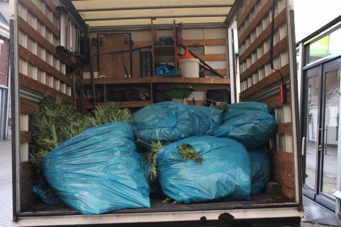 Hennepkwekerij gevonden in winkelpand