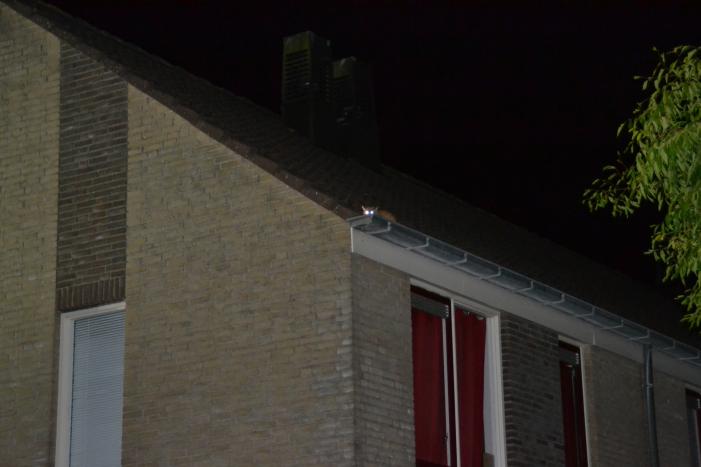 Brandweer haalt kat van het dak