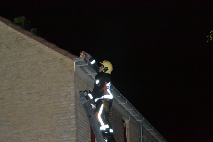 Brandweer haalt kat van het dak
