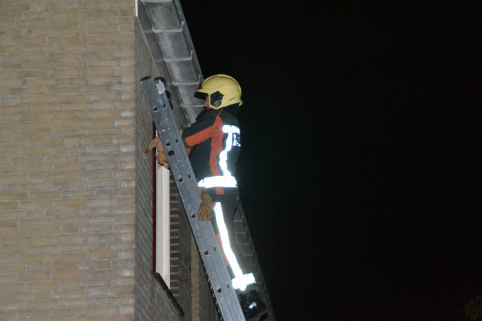 Brandweer haalt kat van het dak