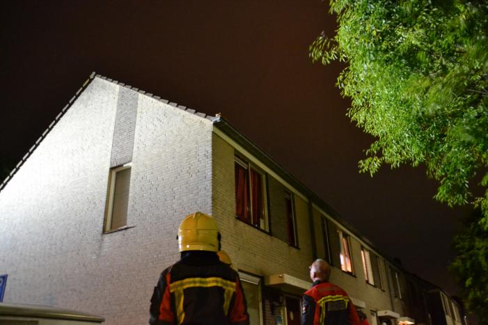 Brandweer haalt kat van het dak
