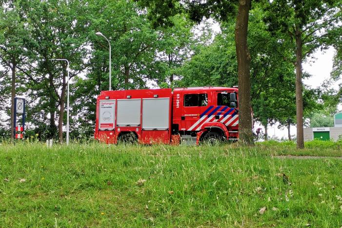 Aalscholver gaat met vishengel vandoor