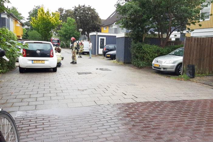 Onderzoek naar herkomst vreemde lucht