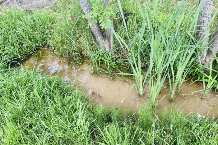 Wateroverlast door kapotte waterleiding