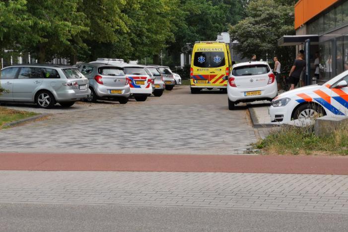 Mishandeling in Polenhuisvesting