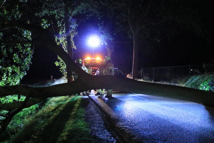 Harde wind blaast flinke boom om