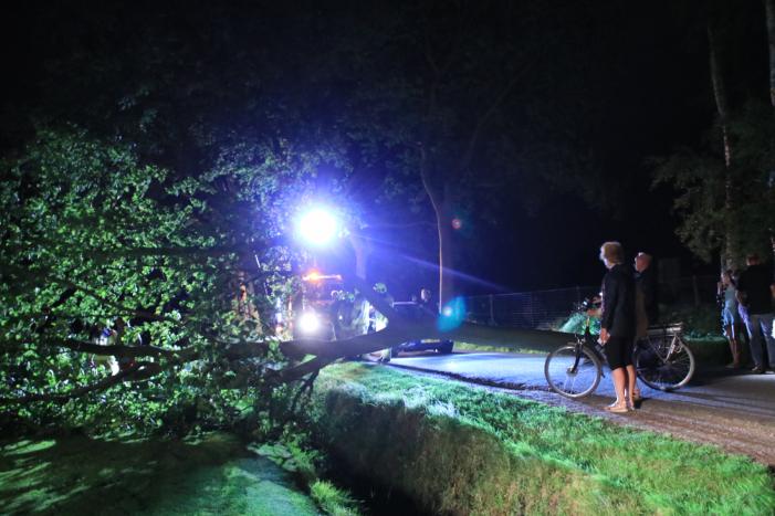 Harde wind blaast flinke boom om