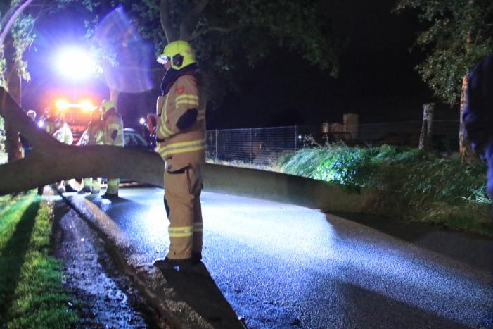 Harde wind blaast flinke boom om