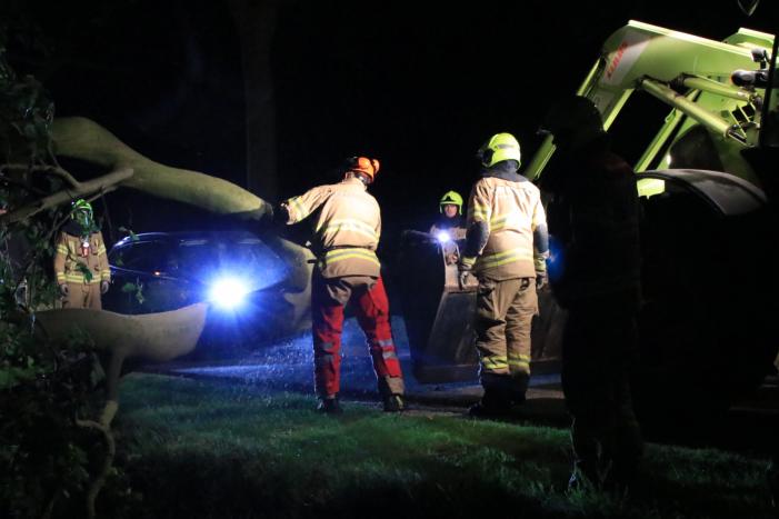 Harde wind blaast flinke boom om