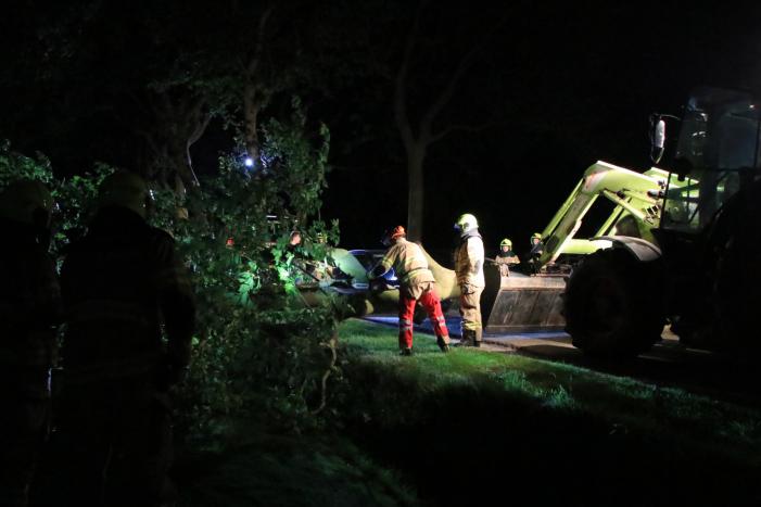 Harde wind blaast flinke boom om