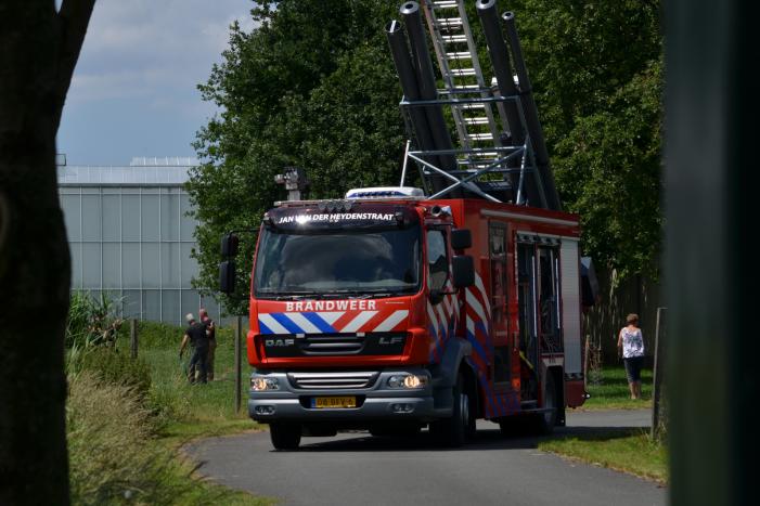 Paard belandt in de sloot