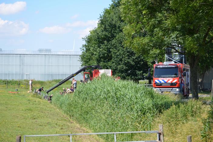 Paard belandt in de sloot