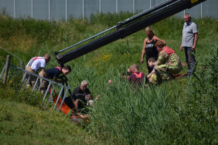Paard belandt in de sloot