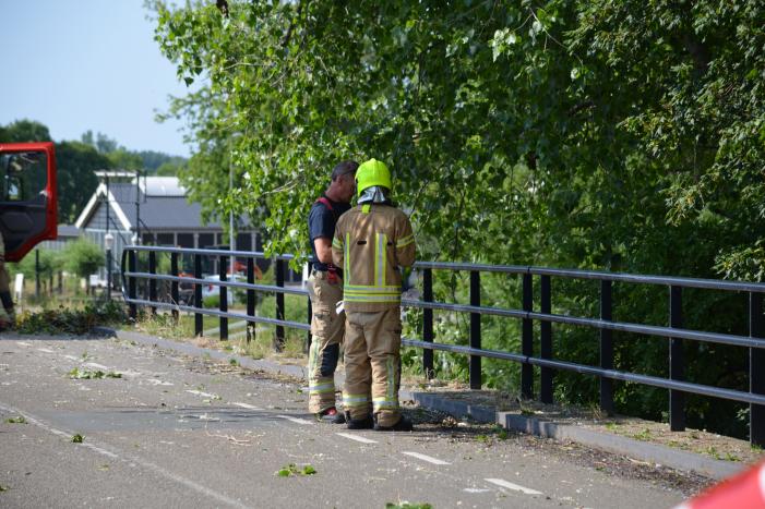 #Rotterdam Gevaarlijke loshangende tak verwijderd door brandweer Schieveensedijk Rotterdam.