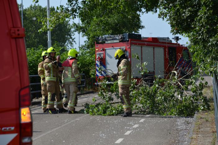 Gevaarlijke loshangende tak verwijderd door brandweer