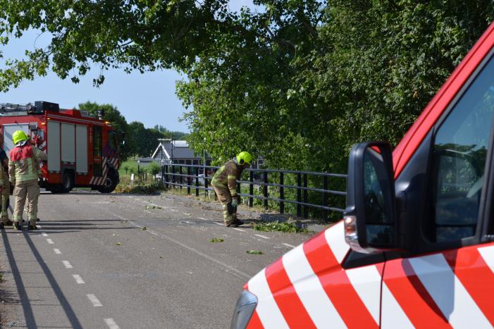 Gevaarlijke loshangende tak verwijderd door brandweer