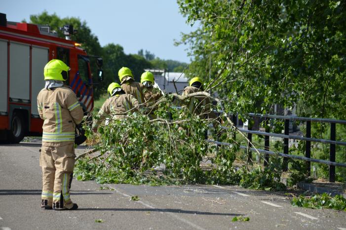 Gevaarlijke loshangende tak verwijderd door brandweer
