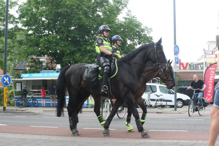 Ingangen afgesloten en aanhouding bij demonstratie Black Lives Matters op De Bult