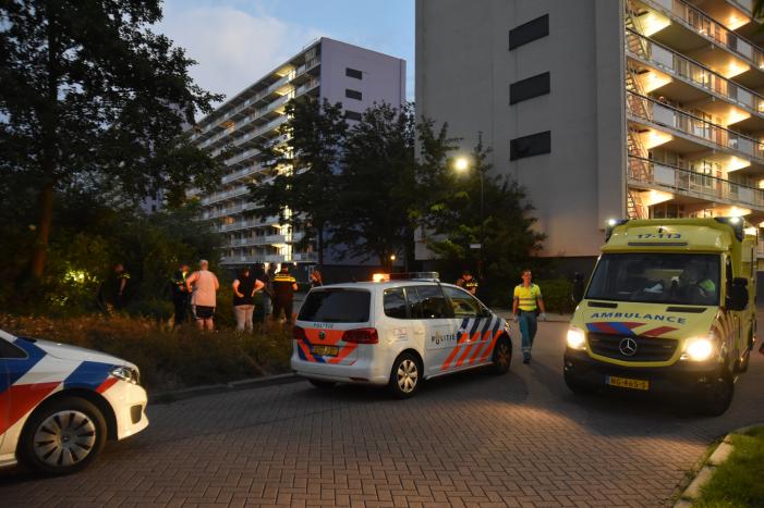 Auto in bosjes geparkeerd bij verwisselen rem en gaspedaal