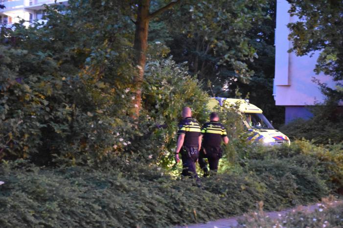 Auto in bosjes geparkeerd bij verwisselen rem en gaspedaal