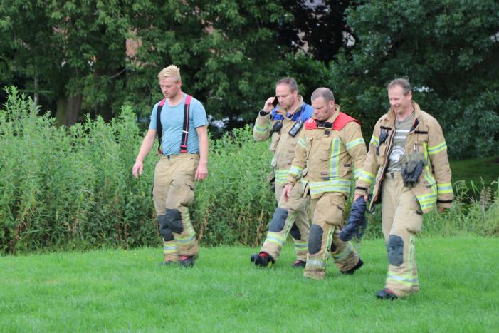 Kudde koeien op de loop