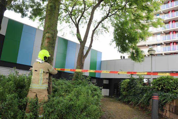 Grote tak dreigt af te breken