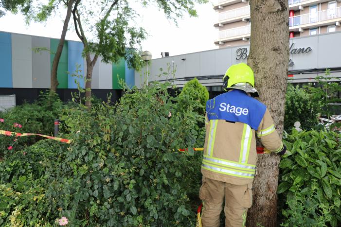 Grote tak dreigt af te breken