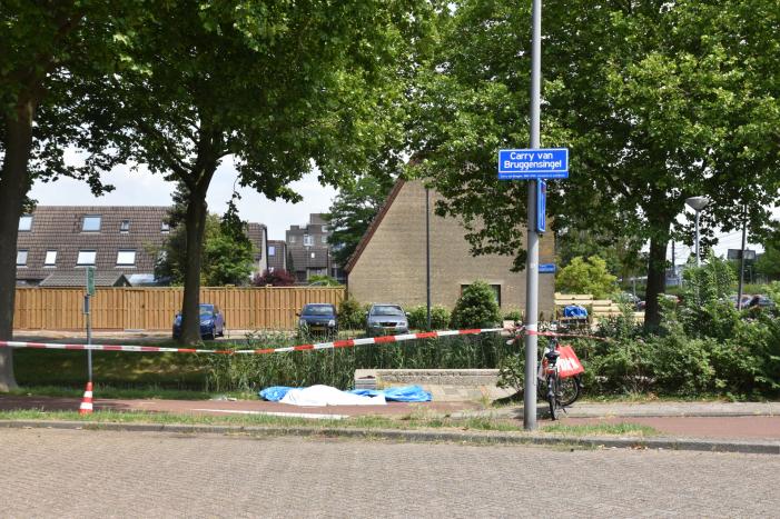 Te water geraakte persoon overleden in Prins Alexander