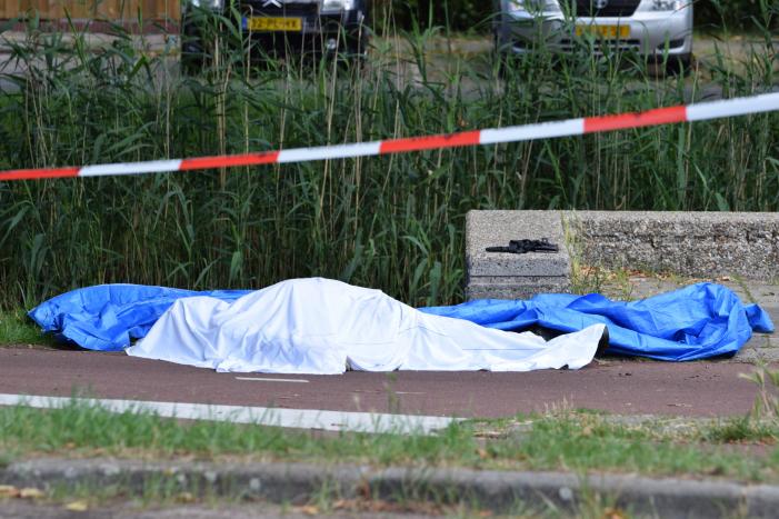 Te water geraakte persoon overleden in Prins Alexander