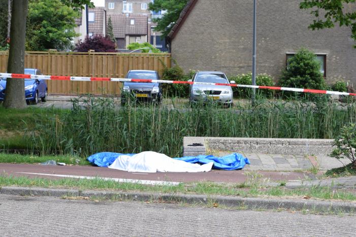 Te water geraakte persoon overleden in Prins Alexander