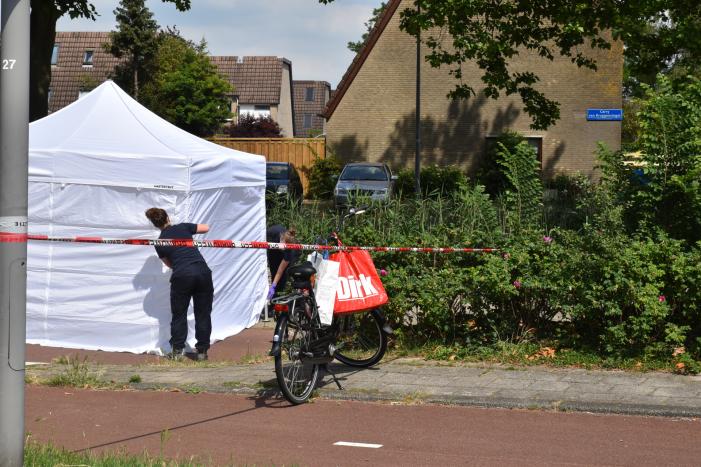 Te water geraakte persoon overleden in Prins Alexander