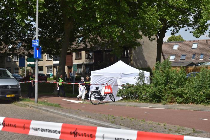 Te water geraakte persoon overleden in Prins Alexander