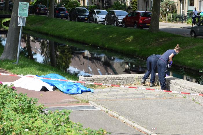 Te water geraakte persoon overleden in Prins Alexander