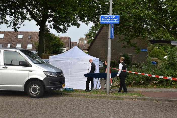 Te water geraakte persoon overleden in Prins Alexander