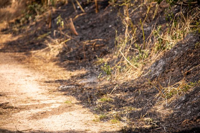 Omwonenden blussen brand met tuinslang