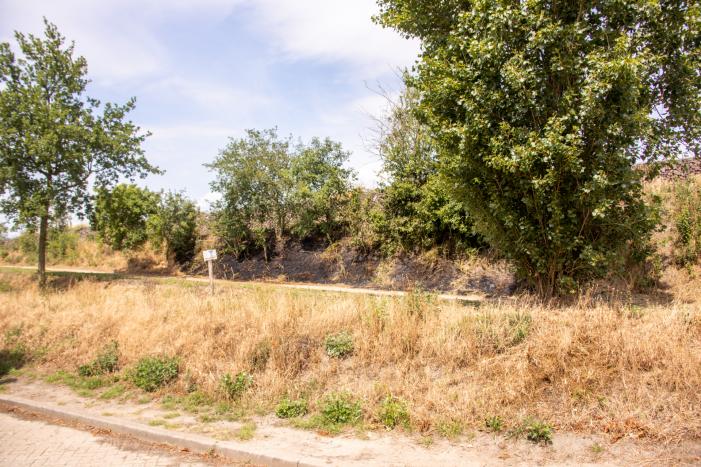 Omwonenden blussen brand met tuinslang